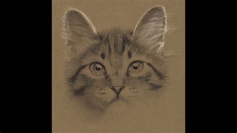 Image result for YouTube Drawing Tutorials Cats