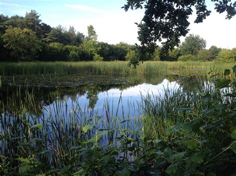 Ramstein-Miesenbach Tourism (2024): All You Need to Know Before You Go