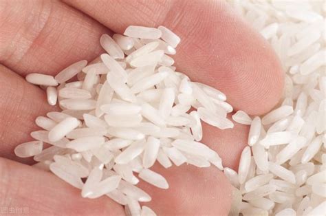 粳米和大米的区别（粳米是什么米?）_环球信息网