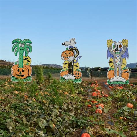 Pumpkin Patch Irvine Ca