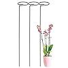 ecofynd 18 inches Metal Trellis for Plants, Pack of 3 | Single Stem ...