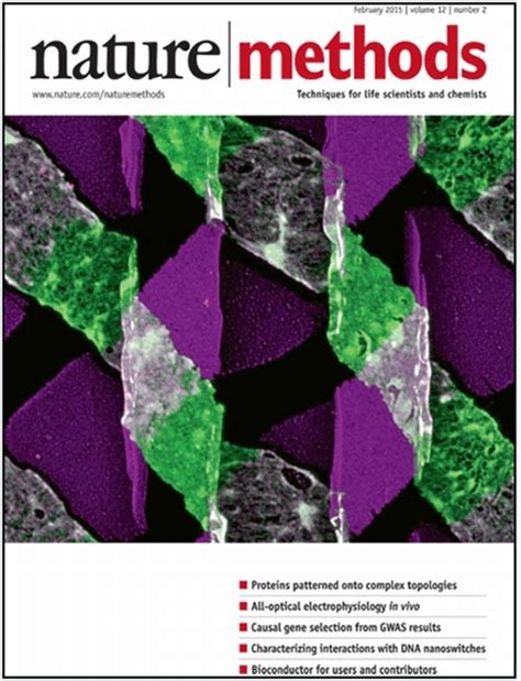 Springer Nature Methods Book 的图像结果