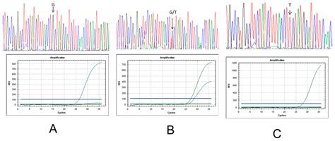 The Use of DNA Markers in Rice Breeding for Blast Resistance and ...