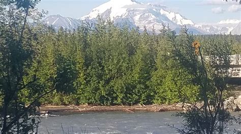 SALMON GROVE CAMPGROUND AND CHARTERS (Copper Center) - Campground ...