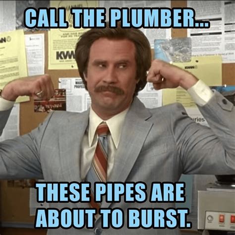Nobody Rips Out the Plumbing – Regionally Famous
