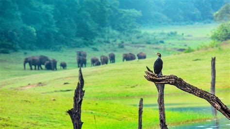 Kerala tour package | Kerala backwater tours | Munnar tour package ...