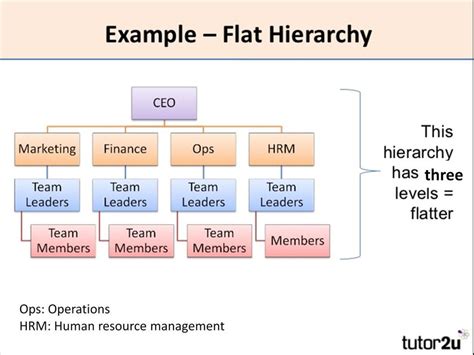Team Structure 的图像结果