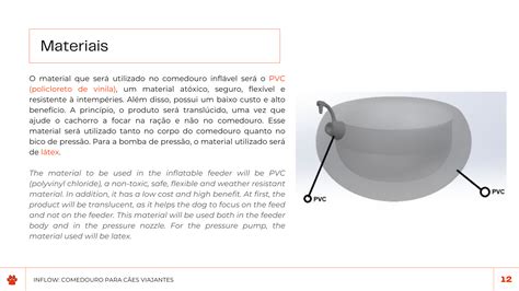 Inflow Tutorial 的图像结果