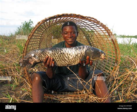 Congo River Fish The Goliath Tigerfish - AusmalbilderFurKinder.de