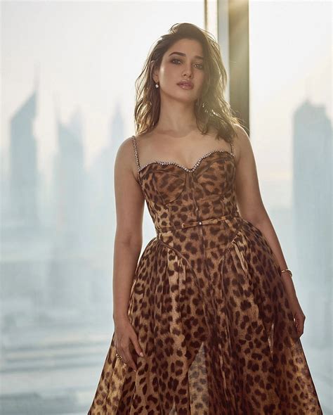 Tamannaah Bhatia : పులిచర్మం డిజైన్ మోడ్రన్ డ్రెస్సులో తమన్నా తళుకులు ...