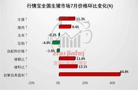 全球疫情动态【10月9日】：确诊病例突破3659万 中国加入新冠肺炎疫苗实施计划-新闻频道-和讯网