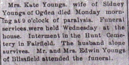 USGenWeb Archives: Lenawee County Obituaries