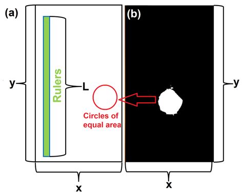 Quantitative Analysis of Lithium-Ion Battery Eruption Behavior in ...