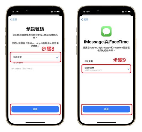 Esim Tutorial 的图像结果