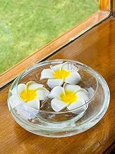 Buy BS AMOR Flower Glass Vase, Urli Bowl Terrarium Succulent Planter ...