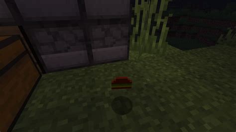 Image result for Helper Mod Java