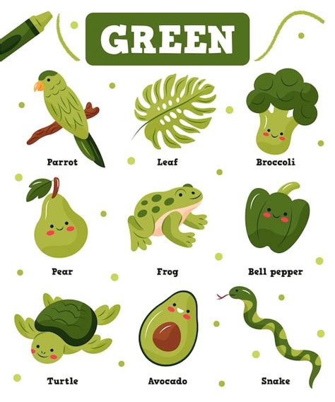 Kleuren en woordenschat in het Engels | Gratis Vector