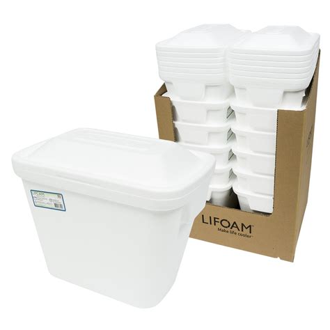 Disposable Foam Cooler Wholesale at Richard Peay blog