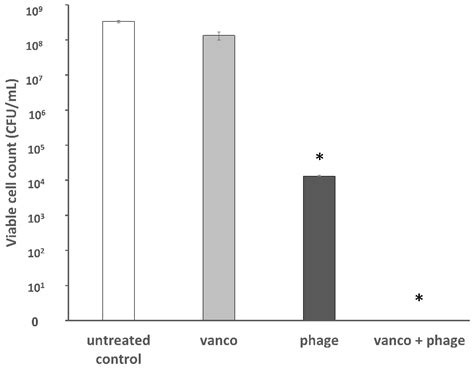 Eradication of Vancomycin-Resistant Enterococci by Combining Phage and ...
