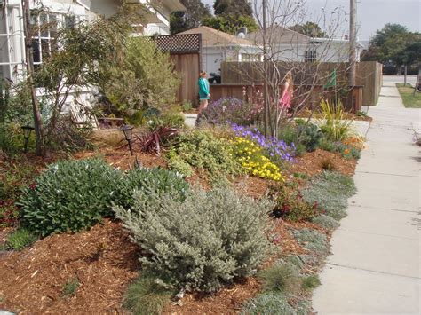 LA landscape: Mar Vista Green Garden Showcase