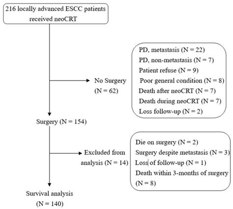 Impact of Perineural Invasion and Preexisting Type 2 Diabetes on ...