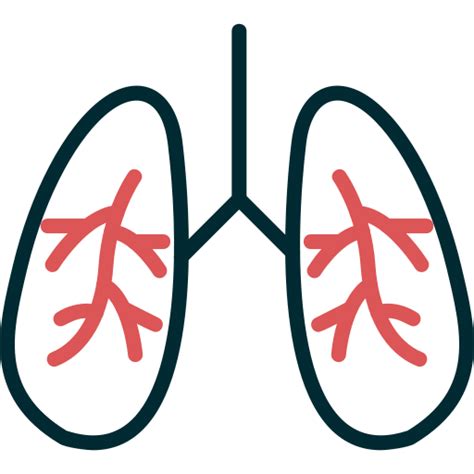 Lungs - Free healthcare and medical icons