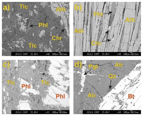 Metasomatic Reactions between Archean Dunite and Trondhjemite at the ...