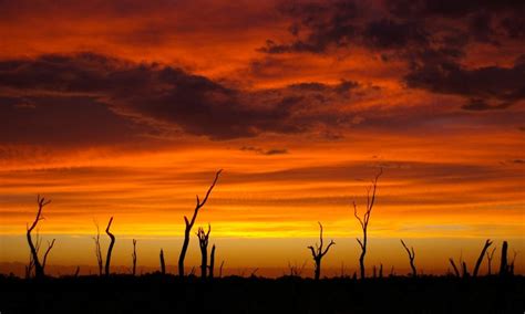 Dja Dja Wurrung People: Central Victorian Aboriginal Culture & History