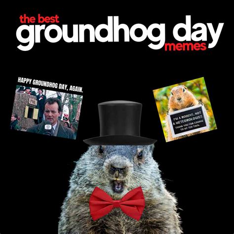 23 Groundhog Day Memes To Help You Survive The Same Day Over And Over