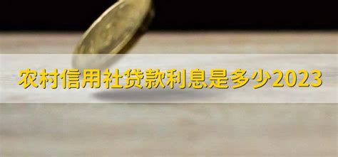 农村贷款利率(2023年信用社贷款一万元利息是多少)-随便找财经网