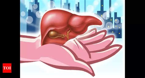 Rajasthan: First living donor liver transplant for acute failure done ...