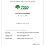 Writing of Monitoring 的图像结果