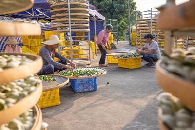 西双版纳小型外发加工项目 电子手工代加工订单货源稳定-搜了网