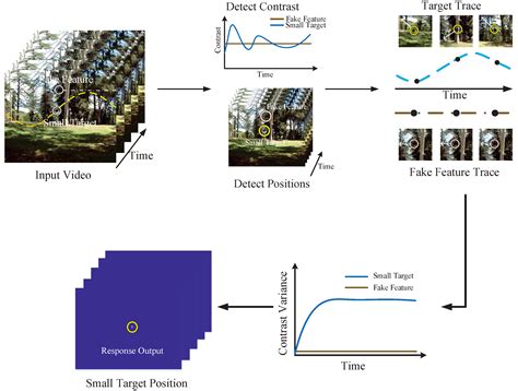 A Bio-Inspired Visual Network That Fuses Motion and Contrast Features ...
