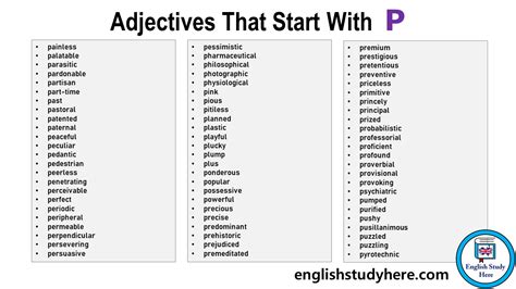1000 Adjective Words in English - English Study Here