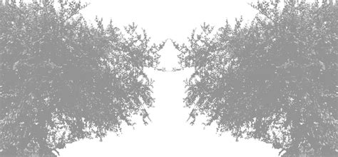 Forest texture PSD, High Quality Free PSD Templates for Download | Freepik