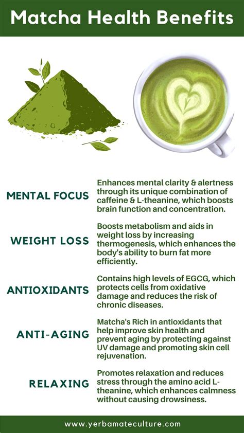 Benefits of Drinking Matcha - Focus, Weight Loss, Skin Health & More!