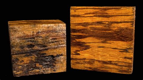 Tigre Caspi (Marblewood) :: West Penn Hardwoods