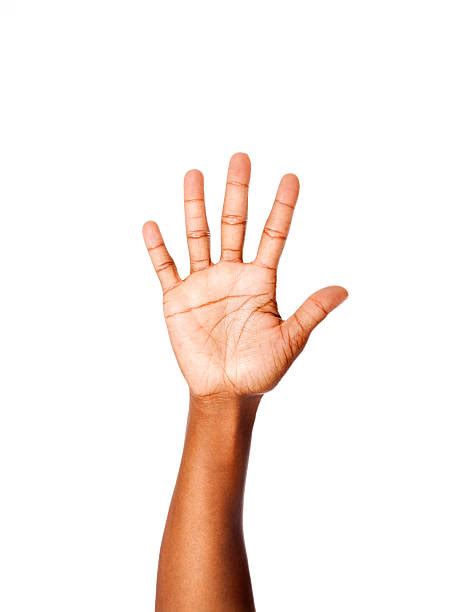 5 in Sign Language 的图像结果