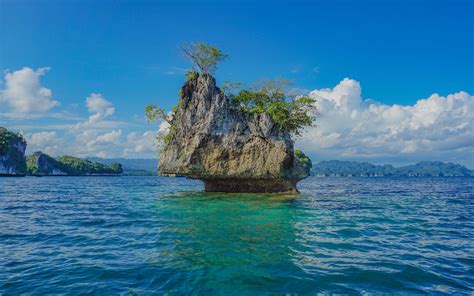 Kri Eco Resort | The Pioneering Resort | Papua Diving