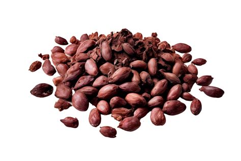 Cacao nibs, crushed and peeled cocoa, isolated on transparent ...