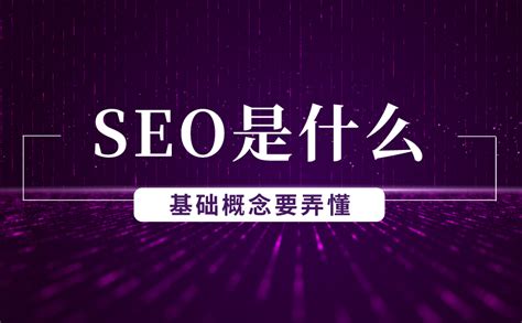 上海网站排名seo公司有哪些 - 哔哩哔哩