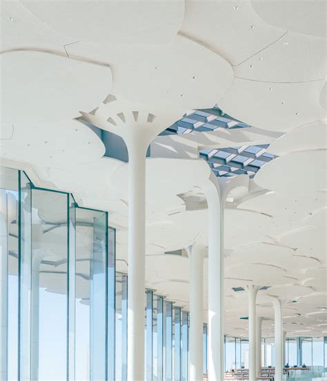 Beijing Library 的图像结果