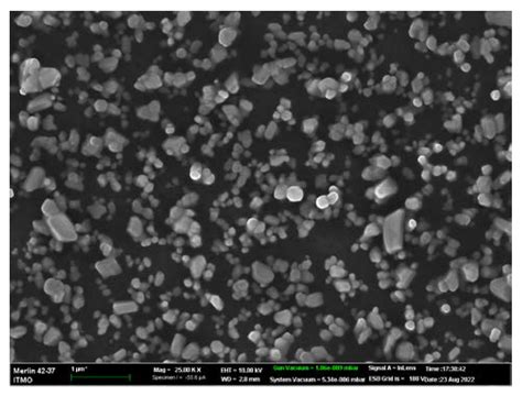 Detection of A and B Influenza Viruses by Surface-Enhanced Raman ...