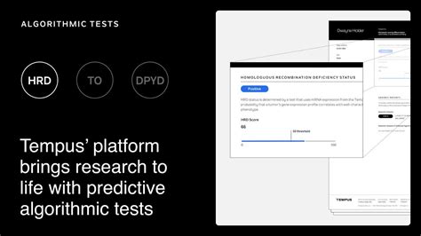 Algorithmic Test 的图像结果