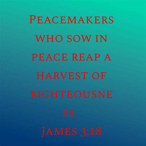 Peacemakers Who Sow in Peace Poster