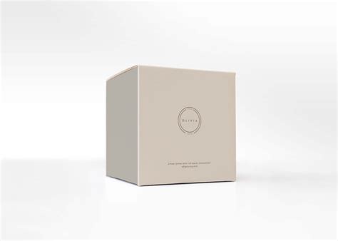 Square Box 的图像结果