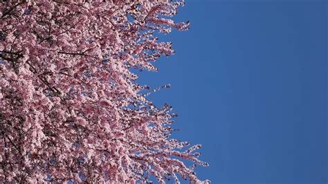 Image result for Code and Control Flow Graph