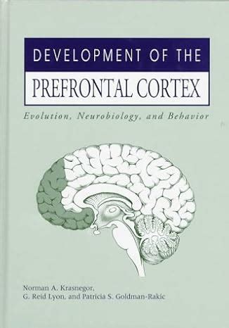 Development of the Prefrontal... by Krasnegor, Norman A.