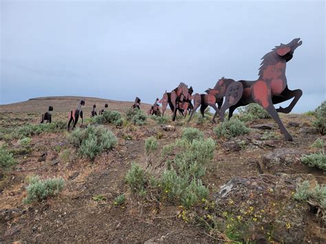 Wild Horses Monument — Washington Trails Association